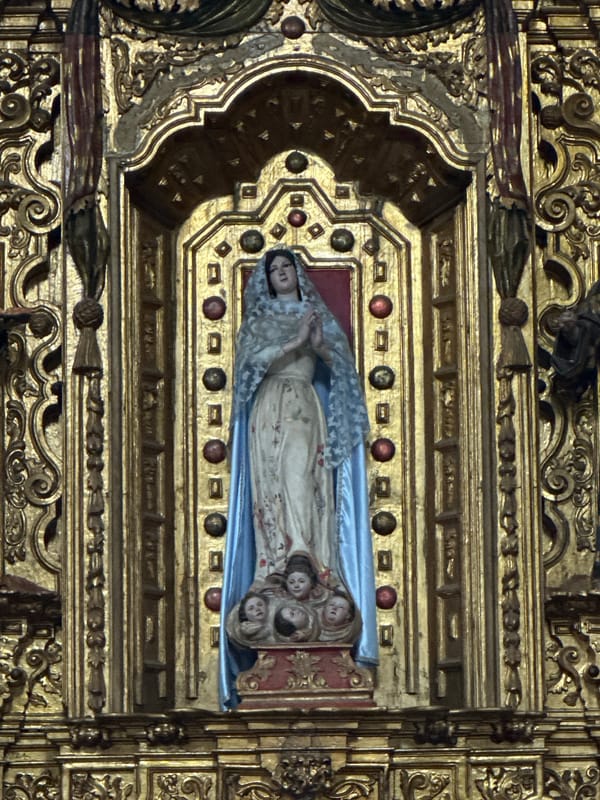 Historic Mexico City church features documented by witness