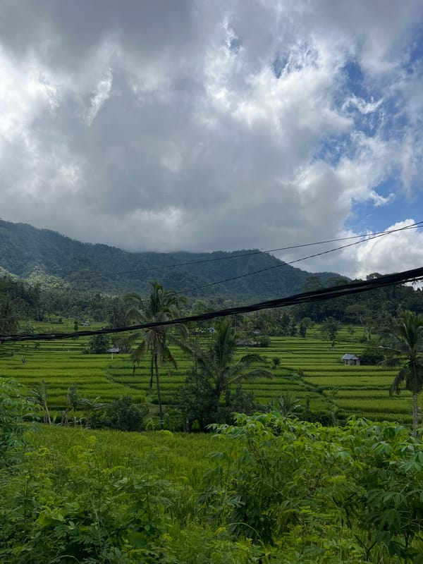 Rural Bebandem landscape documented showing rice paddies and mountain views