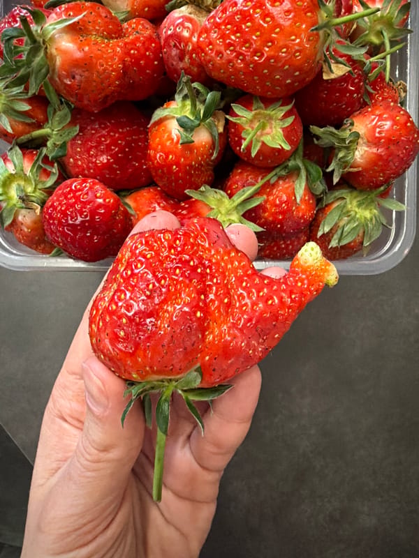 Moscow resident prepares homemade caramel sauce with fresh strawberries