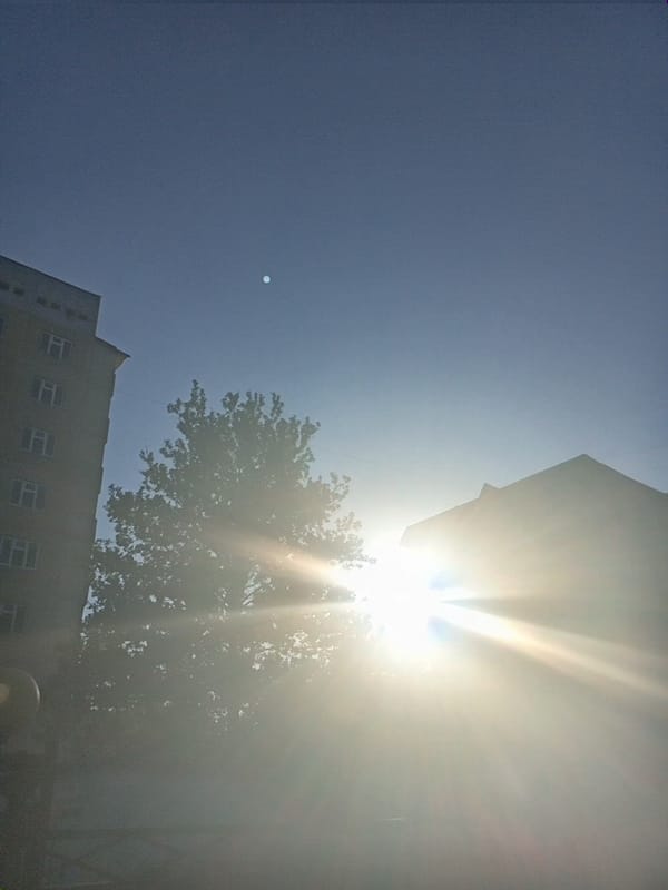Sunny afternoon in Angren — city streets and summer garden details