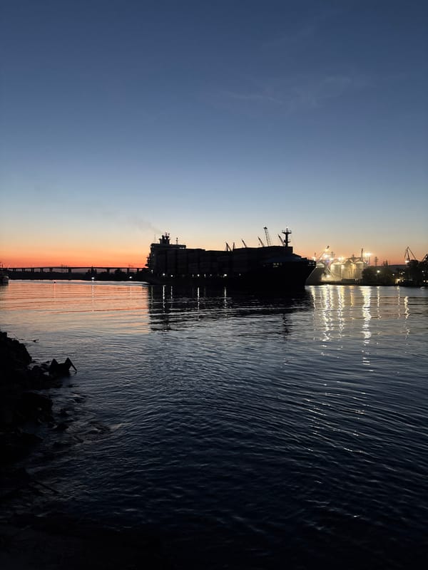 Evening wildlife and maritime activity documented in Varna
