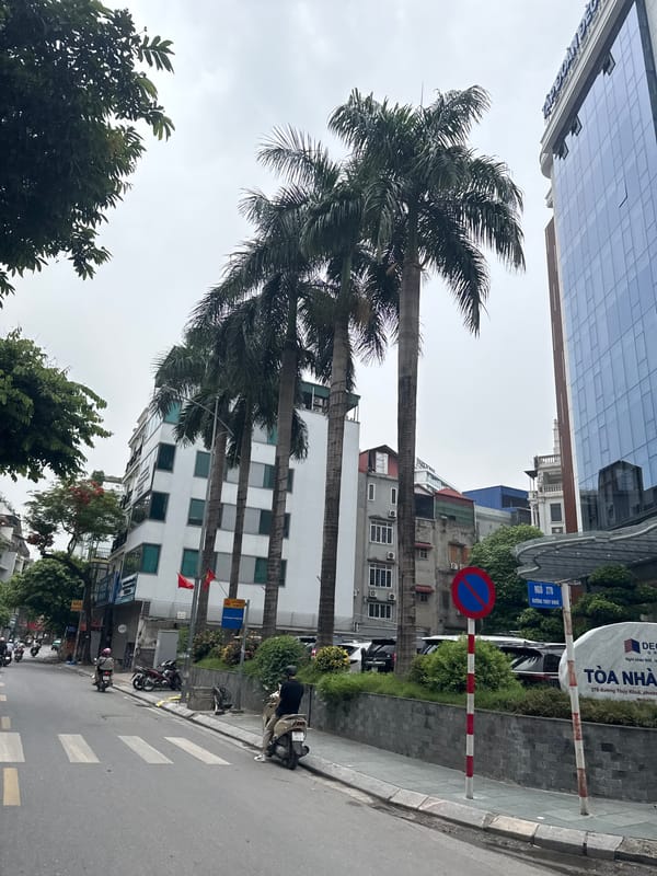 Hanoi's western corridor: convention center, palms, and hospital