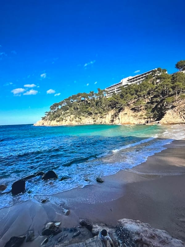 Tropical coastal scene documented by multiple witnesses