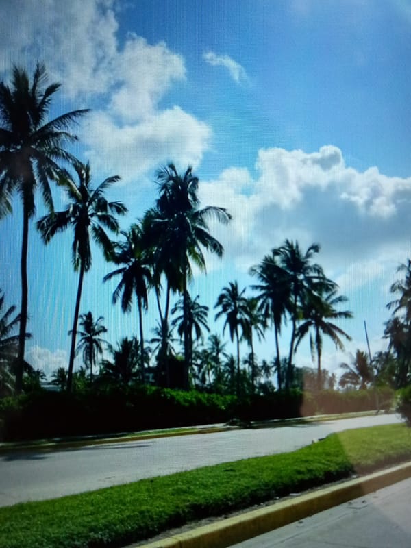 Tropical evening snapshots capture everyday life moments