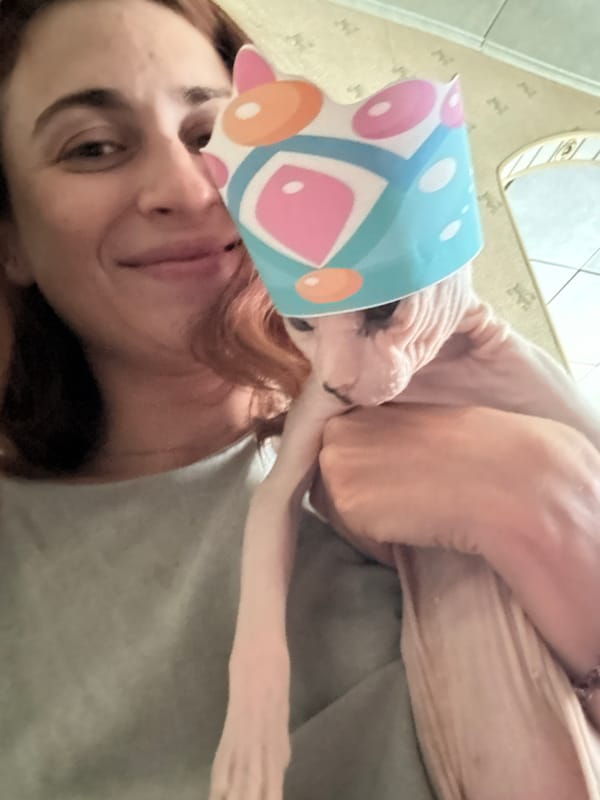 Morning in Togliatti: selfies, a Sphynx cat, and street scenes