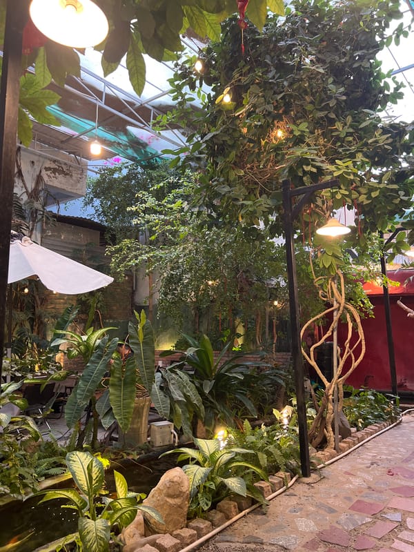 Indoor garden with vine-covered framework and string lights documented