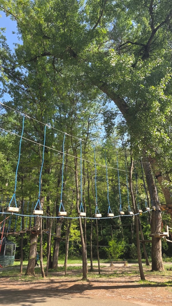 Adventure park with elevated rope course spotted in Blagoevgrad