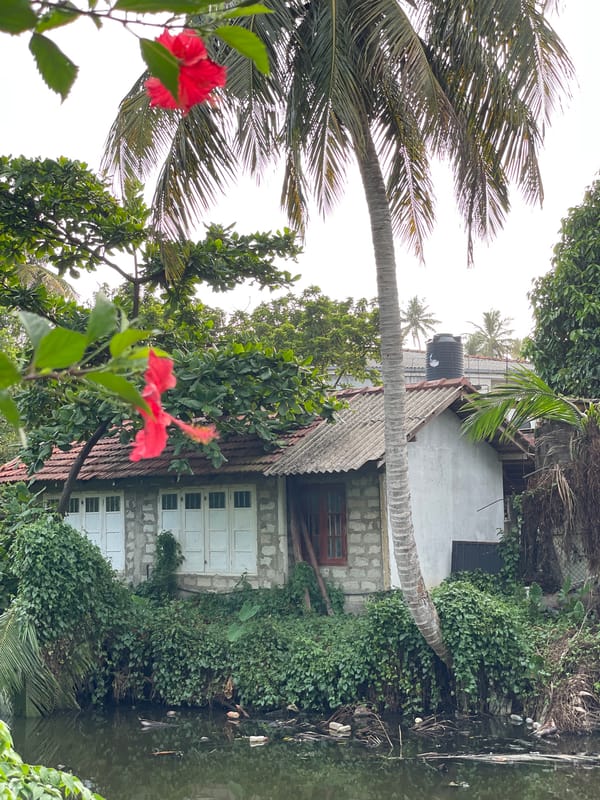 Walking tour captures tropical Mirissa scenery and architecture