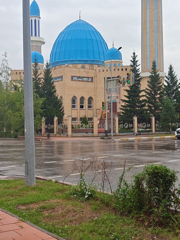 Street-level look at Petropavl on a rainy August morning
