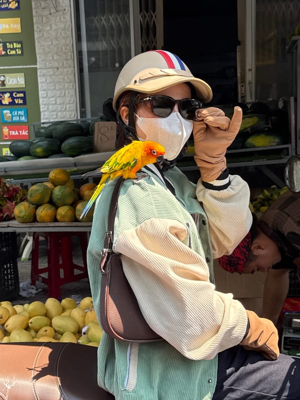 Morning street vendor activity documented in Đà Nẵng