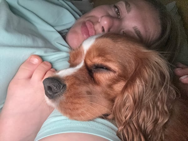 Family enjoys evening with pets and motorcycle rides in Novgorod