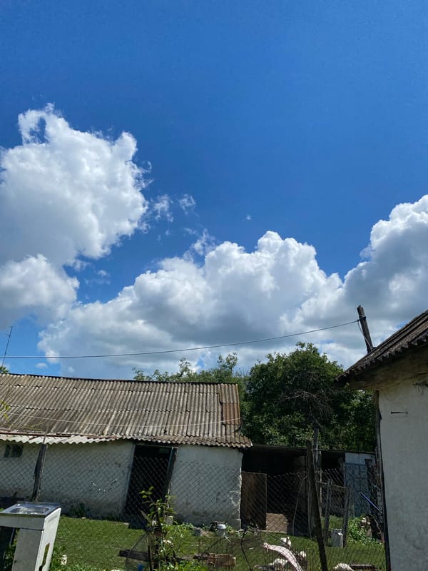A quiet summer morning at home in Mariinopil, Ukraine