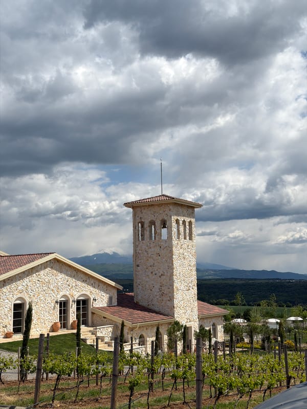 Tourist documents Bulgarian winery estate and vineyards in Kocherinovo