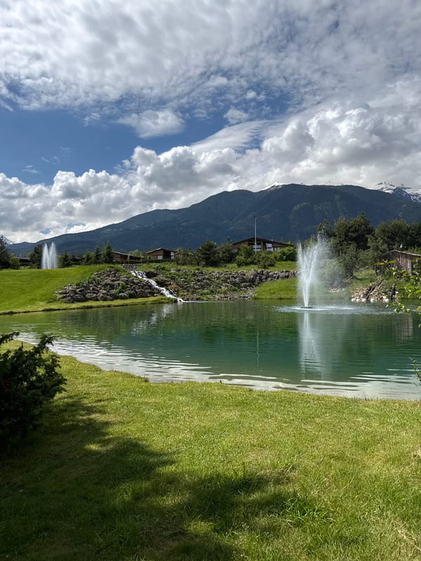 Morning scenes captured lakeside fountain and golf course swan