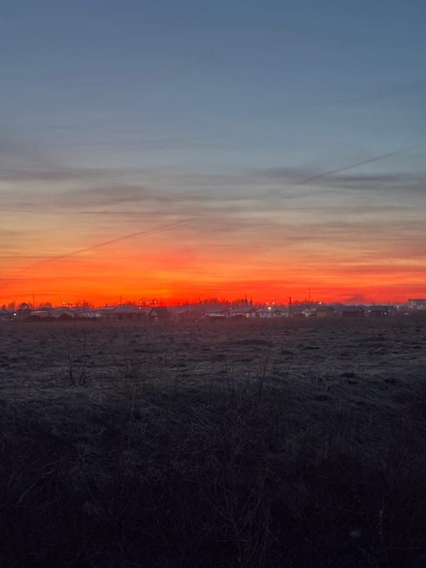 Sunset portraits captured in rural Горный, Russia