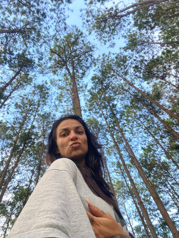 Afternoon hang in a Vietnamese pine forest, mushrooms and all