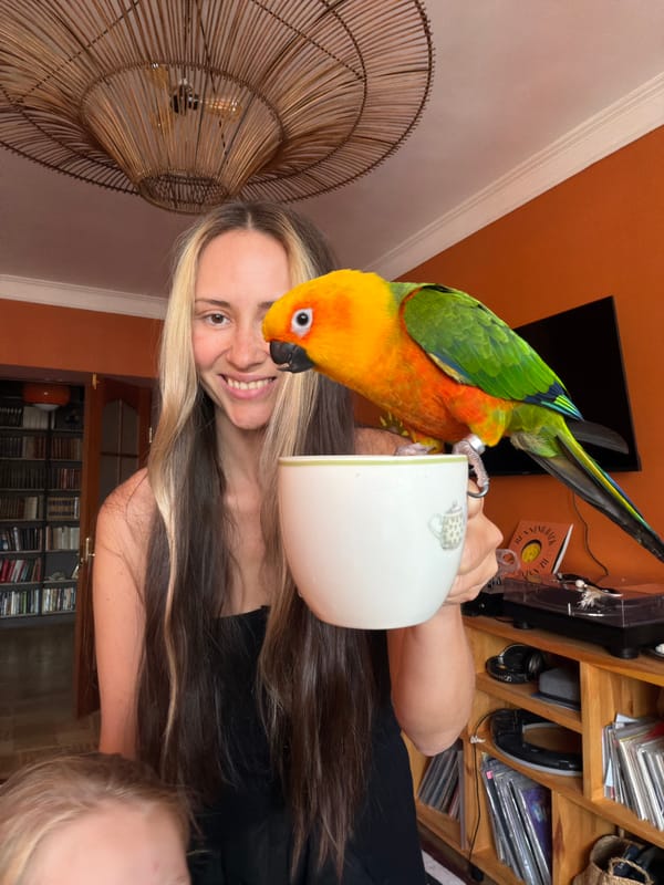 Home morning in Khimki with a sun conure and a toddler