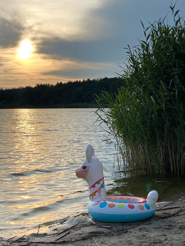 Lakeside campground at golden hour with cabins and a llama float