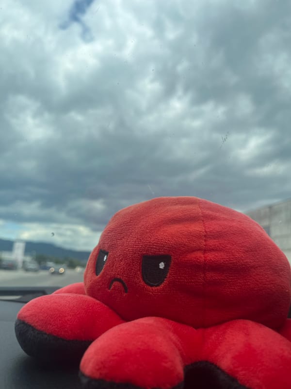 Red octopus plush toy on car dashboard in Bulgaria