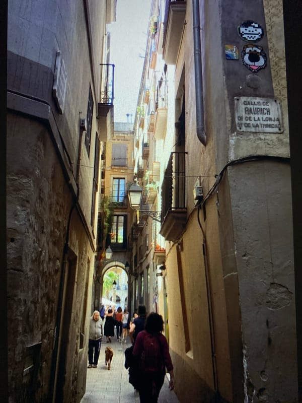 Eclectic afternoon snapshot: streets, nature, food, and urban details