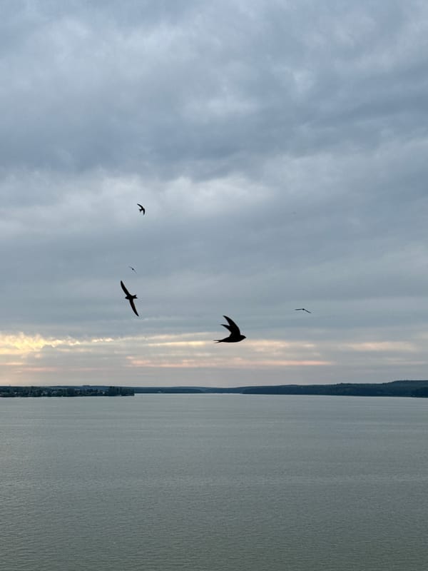 Overcast afternoon at Votkinskoye Reservoir, Votkinsk