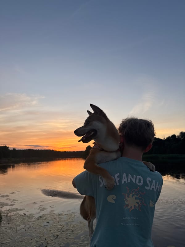 Sunset evening along the Gauja River in Carnikava