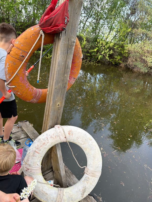 Witnesses document abandoned waterfront with old boats, dock facilities