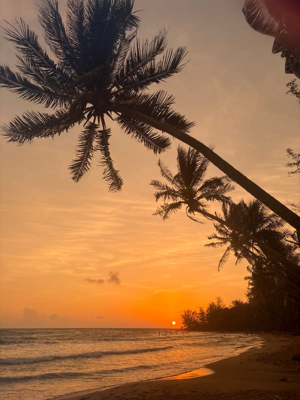 Sunset on a palm-lined beach, selfie included
