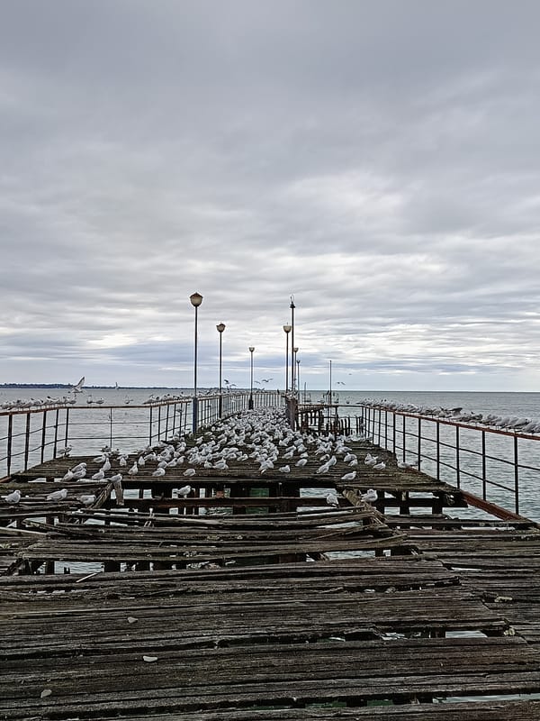 Daily life documented along Sokhumi waterfront and parks