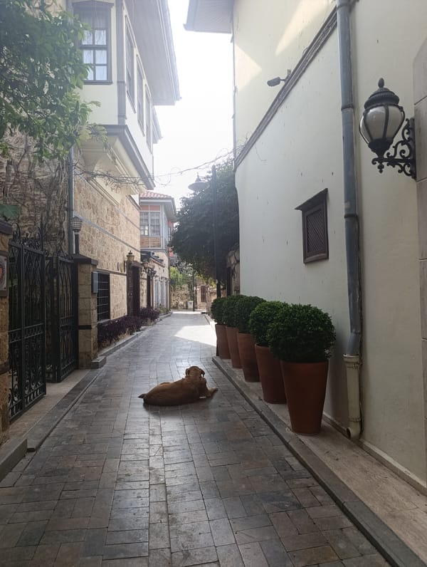 Morning street scenes and dining areas documented in Antalya