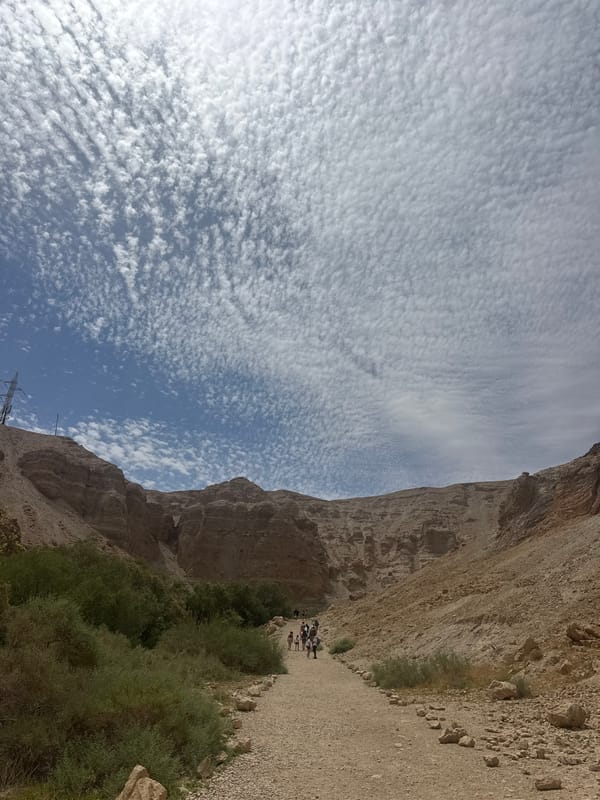 Hikers traverse canyon and water features in Israeli desert