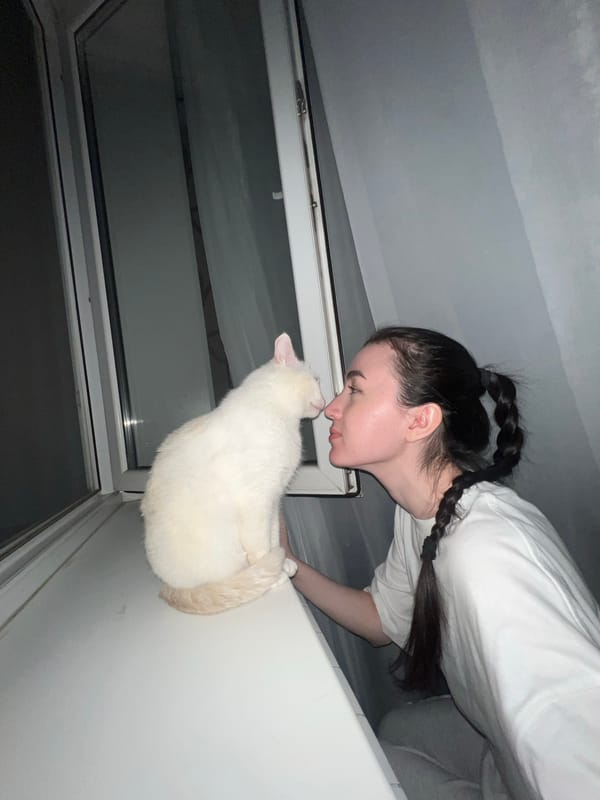 Evening snapshots capture cat, selfie, sports venue moments