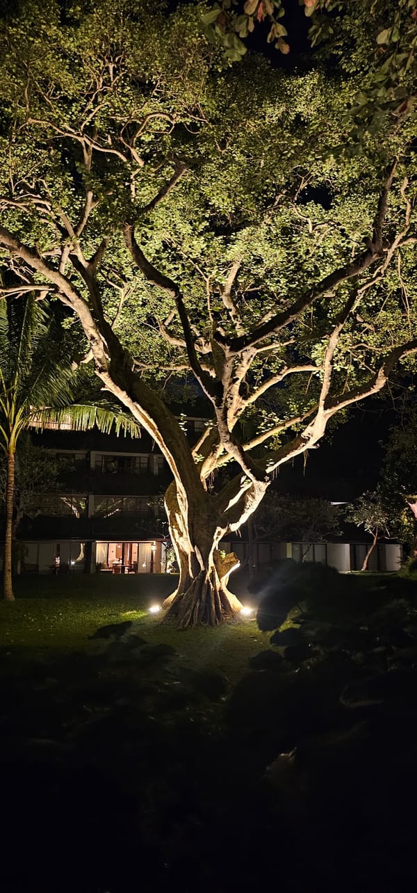 Nighttime beachfront scenes documented across Denpasar resort area