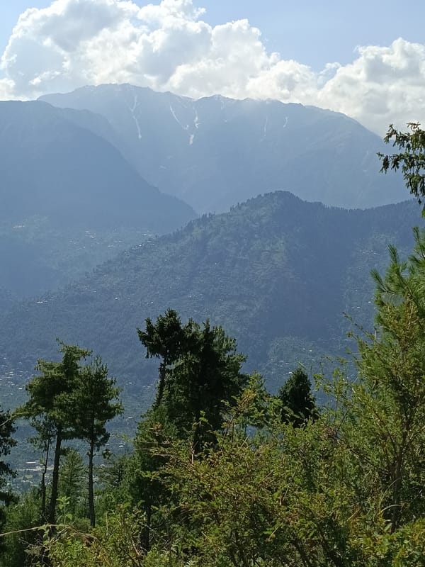 Forested hillsides and cut timber in Damadi's mountain landscape