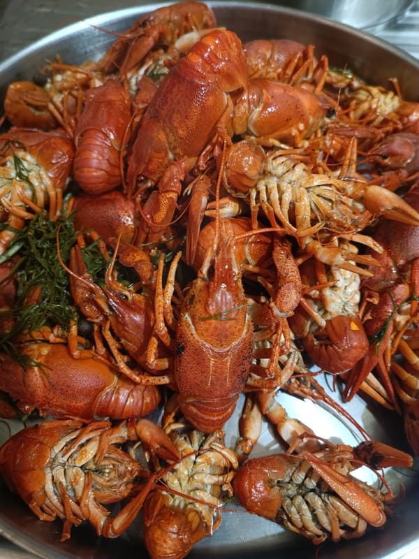Crawfish boil and garden flowers on a Zaporizhzhia summer evening