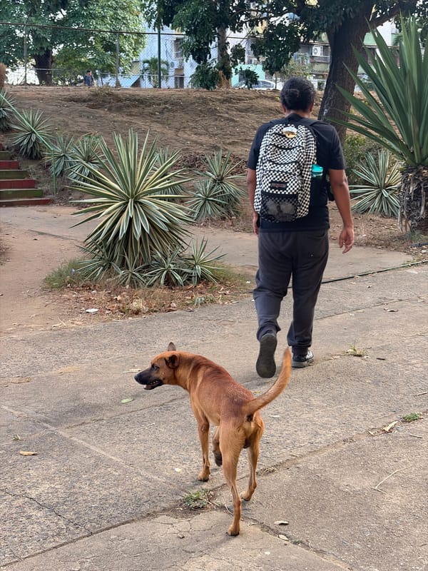 Evening documentation of daily life in Ciudad Guayana, Venezuela
