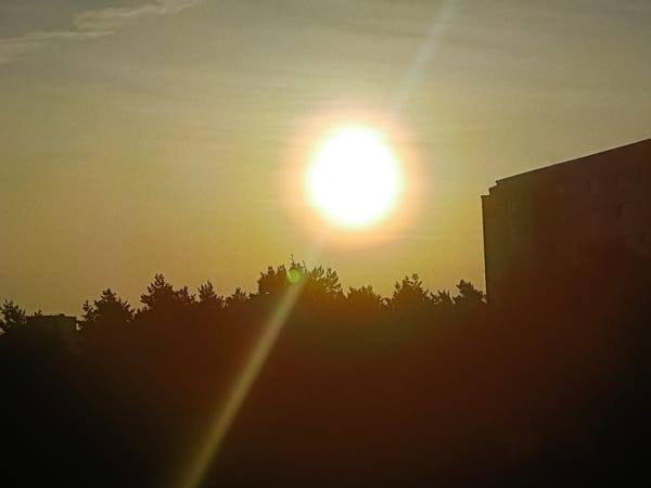 Hazy summer sunset over Berlin rooftops and treelines