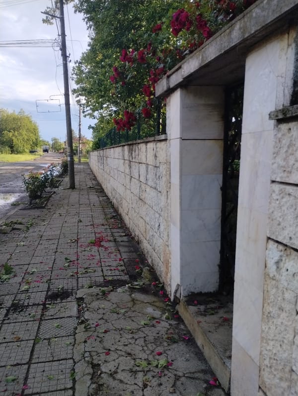 Witness documents quiet afternoon stroll through Roza, Bulgaria