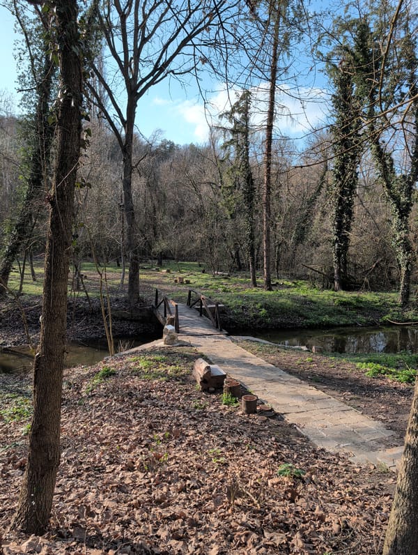Peaceful wooded stream with bridge documented in Pleven
