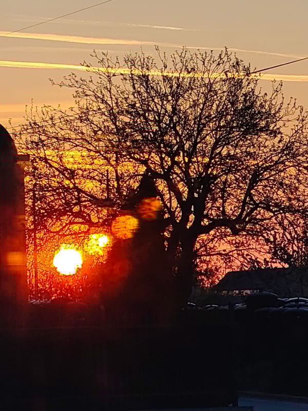 Dramatic sunrise observed over Shumen, Bulgaria with silhouetted tree