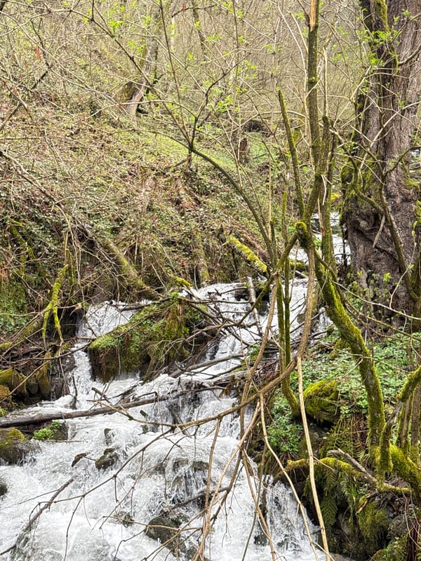 Waterfall documented in Krasnaya Polyana forest, Russia