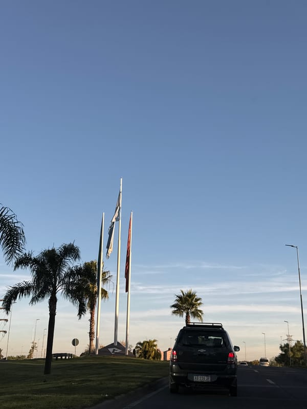 Driver captures roadside flags and palm trees in Tigre