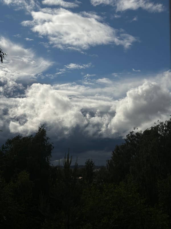 Stormy skies and bacon rolls in Vilnius afternoon