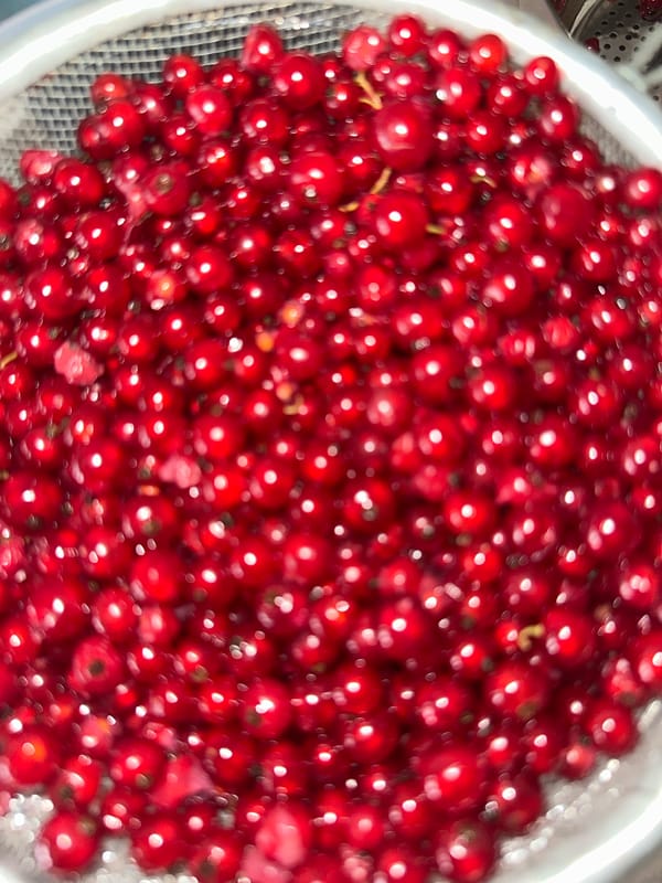 Homemade berry jam in progress, birds nearby