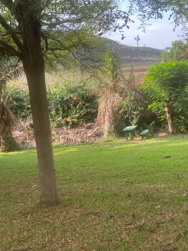 Morning neighborhood scenes documented in Angwan Sayawa, Nigeria