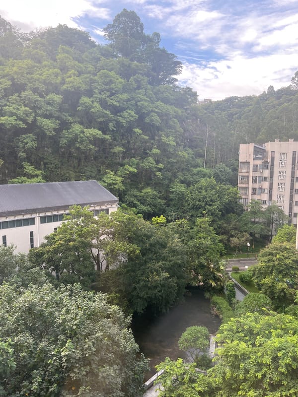 Green spaces, urban trees, and an embroidered kufi hat