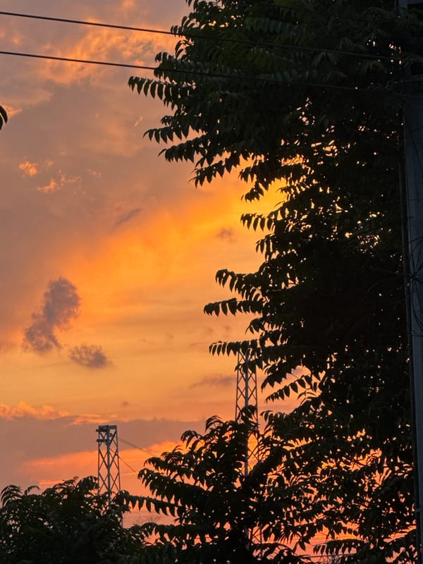 Everyday street life documented across Burgas neighborhoods during evening hours