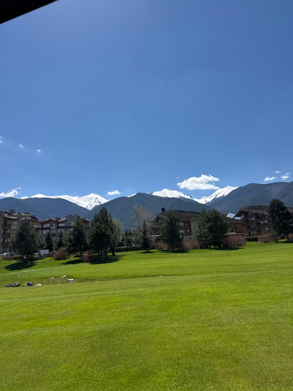 Spring landscape with green lawn documented in Razlog, Bulgaria
