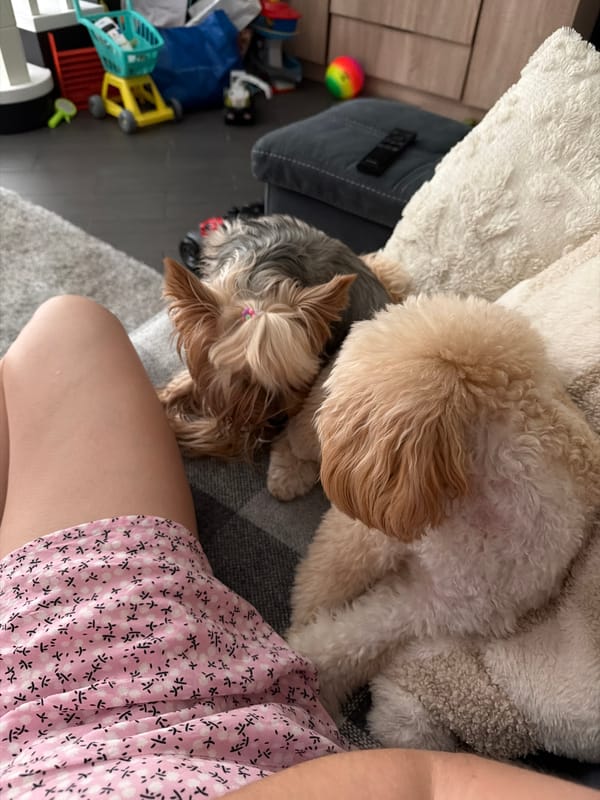 Chilling at home with dogs and ice cream in Bila Tserkva