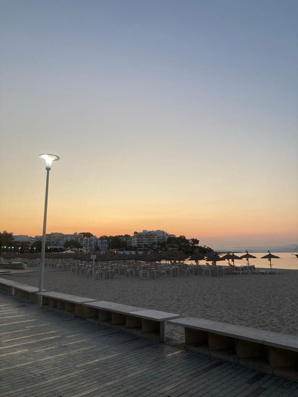 Golden-hour light over Palmanova's sandy beach and calm water